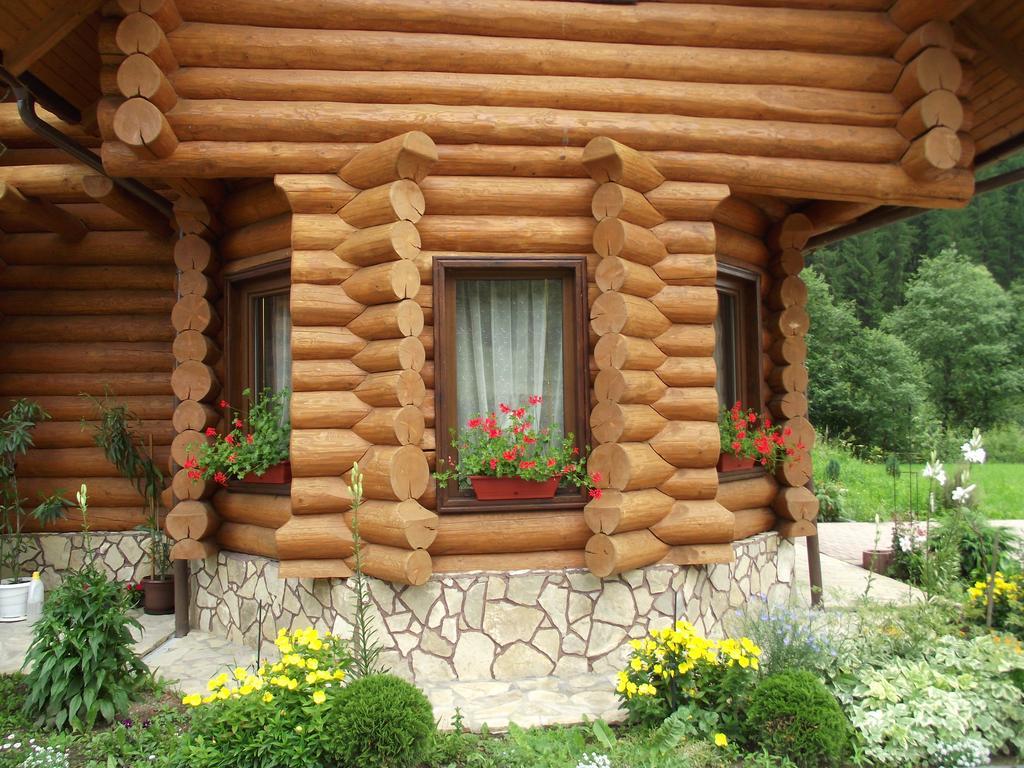 皮亚特拉伦库鲁山林小屋 Vatra Moldoviţei 外观 照片