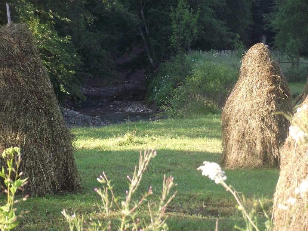 皮亚特拉伦库鲁山林小屋 Vatra Moldoviţei 外观 照片